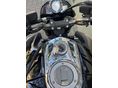 SUZUKI GSX 1300 (B-KING) 2008/1 - 13