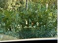 LEXUS RX 2022/7 - 8