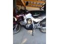 HONDA XL 600 V 1993/6 - 2
