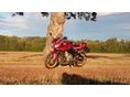 YAMAHA FZ1-S 