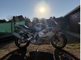 HONDA CBR 600 F4 2006/1 - 1