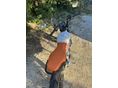 TROMOX UKKO S 2025/12 - 2