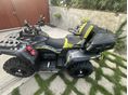 ODES PATCHCROSS 2025/6 - 2