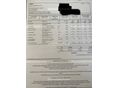 OPEL INSIGNIA 2010/5 - 13