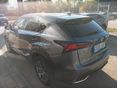 LEXUS NX 2021/5 - 2