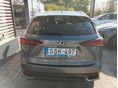 LEXUS NX 2021/5 - 3