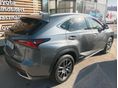LEXUS NX 2021/5 - 4