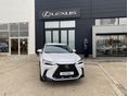 LEXUS NX 2026 - 2