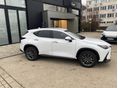 LEXUS NX 2026 - 3