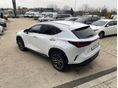 LEXUS NX 2026 - 4