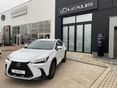LEXUS NX 2026 - 6