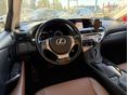 LEXUS RX 2013/11 - 10