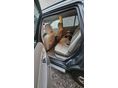 VOLVO XC90 2005/3 - 6