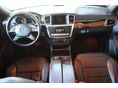 MERCEDES-BENZ GL 350 2013/4 - 12