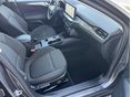 FORD FOCUS 2022/11 - 19