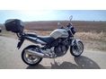 HONDA CBF 600 2005/5 - 4