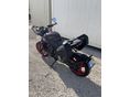 TRIUMPH TRIDENT 2025/11 - 4