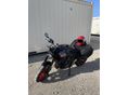 TRIUMPH TRIDENT 2025/11 - 11