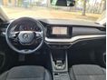 SKODA OCTAVIA 2023/2 - 7