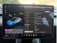 TESLA MODEL 3 2020/3 - 16