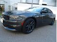 DODGE CHARGER 2023/7 - 1