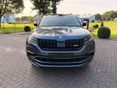 SKODA KODIAQ 2019/3 - 3