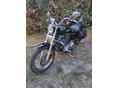 HARLEY-DAVIDSON SPORTSTER 2007/3 - 3