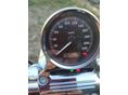 HARLEY-DAVIDSON SPORTSTER 2007/3 - 8