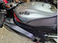 APRILIA RSV 1000 2004/1 - 3