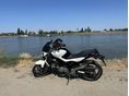 SUZUKI SFV 2012/4 - 1