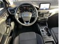FORD FOCUS 2019 - 14