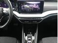 SKODA OCTAVIA 2023/9 - 9