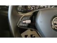 SKODA SCALA 2024/2 - 17
