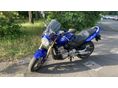 HONDA CB 600 F (HORNET) 2006 - 1