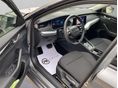 SKODA OCTAVIA 2025/4 - 4