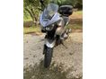 YAMAHA TDM 900 2003/6 - 2