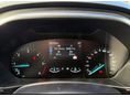FORD FOCUS 2023/2 - 7