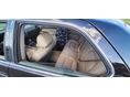 LEXUS LS 1996/6 - 7