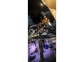 LEXUS LS 1996/6 - 11