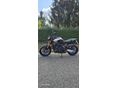 YAMAHA MT-09 2024/9 - 3