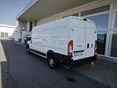 FIAT DUCATO 2019/9 - 2