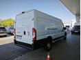 FIAT DUCATO 2019/9 - 3