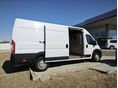 FIAT DUCATO 2019/9 - 9