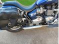 TRIUMPH AMERICA 2016/7 - 2