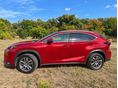LEXUS NX 2017/10 - 3