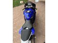 YAMAHA YZF 600 R 2008 - 5