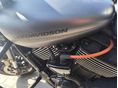 HARLEY-DAVIDSON STREET ROD 2017/6 - 3