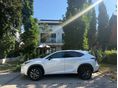 LEXUS NX 300h F-Sport Top Panoramic CVT