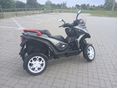 QUADRO QV4 2016/5 - 5