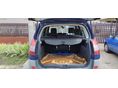 RENAULT SCENIC 2007/5 - 2